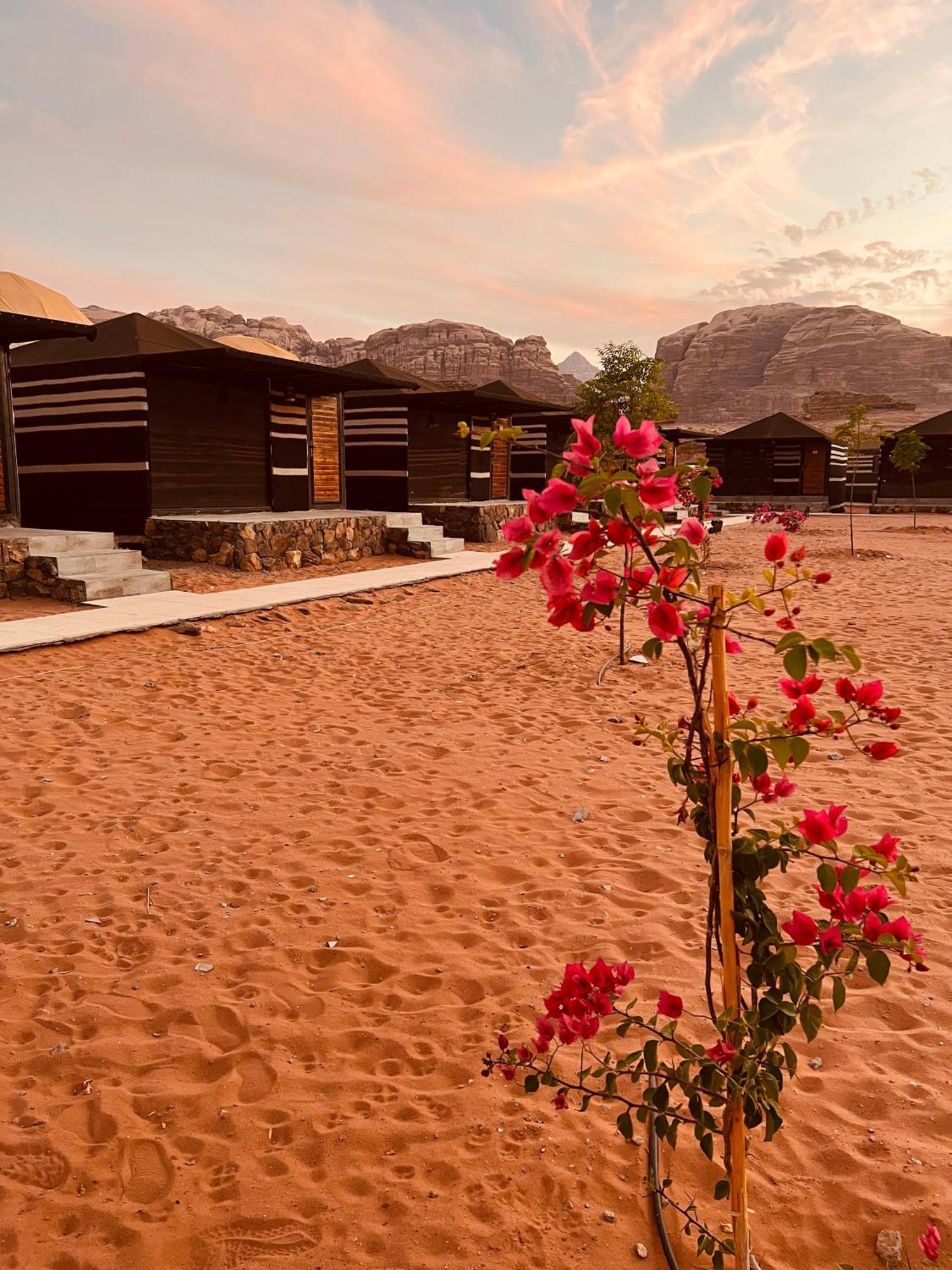 Revan Rum Luxury Camp وادي رم المظهر الخارجي الصورة