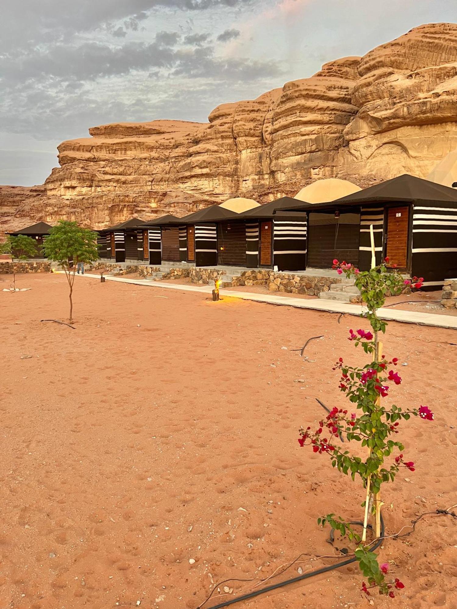 Revan Rum Luxury Camp وادي رم المظهر الخارجي الصورة