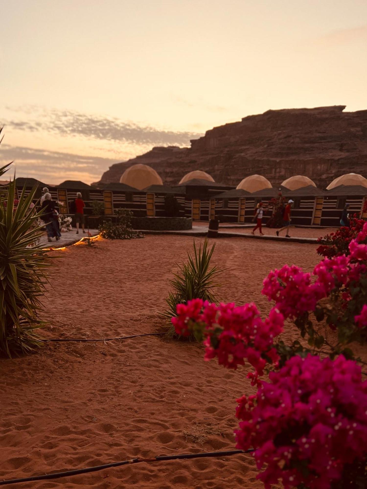 Revan Rum Luxury Camp وادي رم المظهر الخارجي الصورة