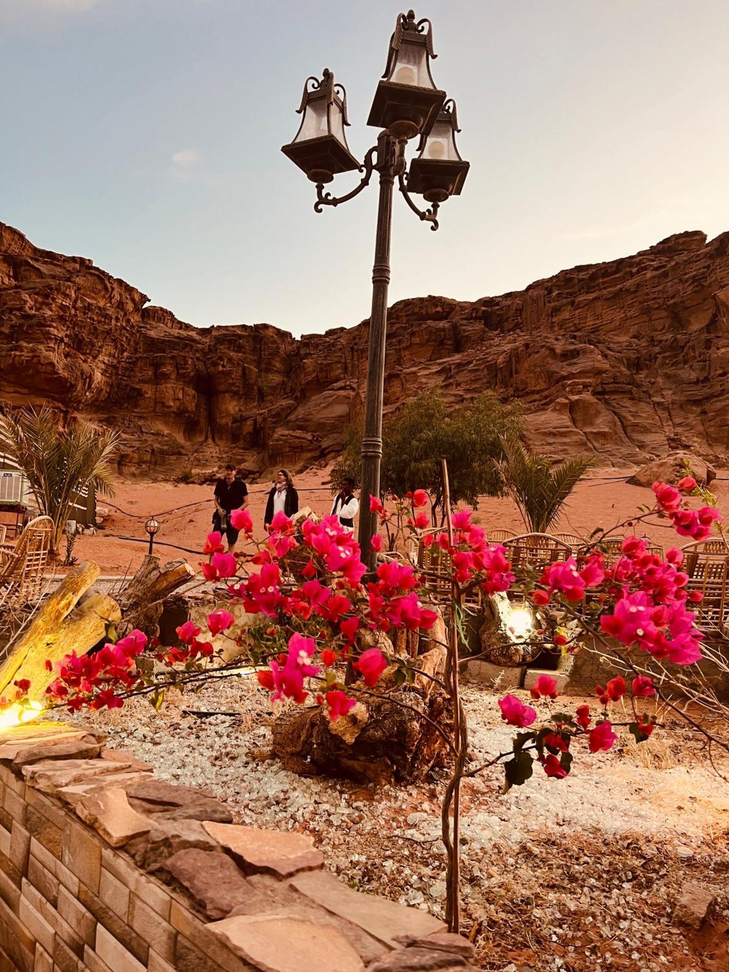 Revan Rum Luxury Camp وادي رم المظهر الخارجي الصورة